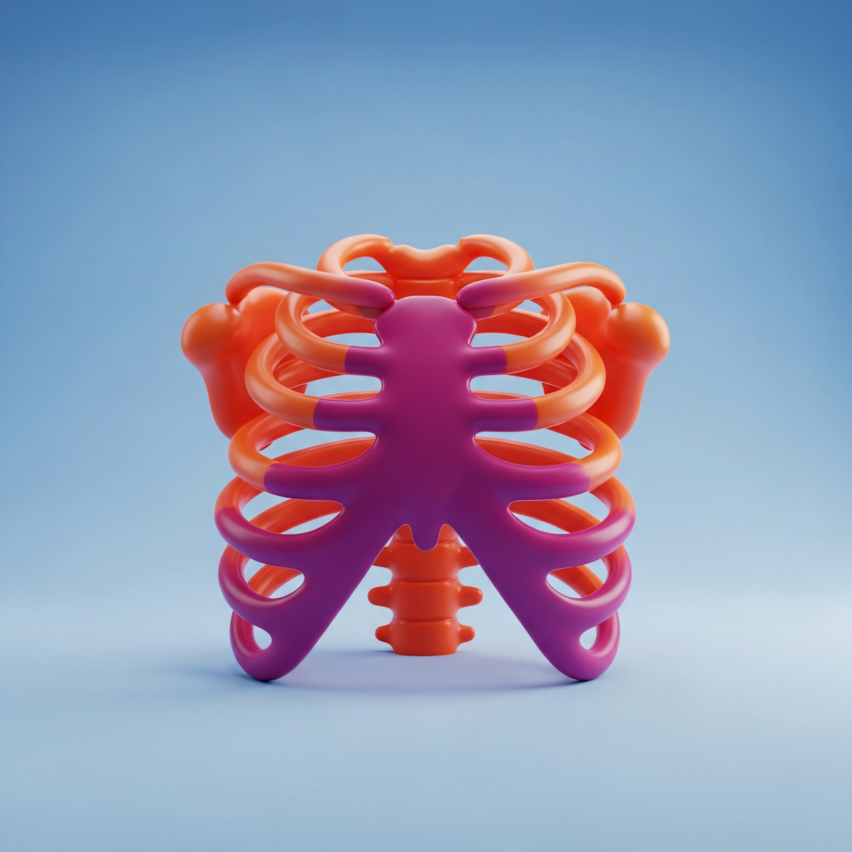 Soins chiropratiques 3